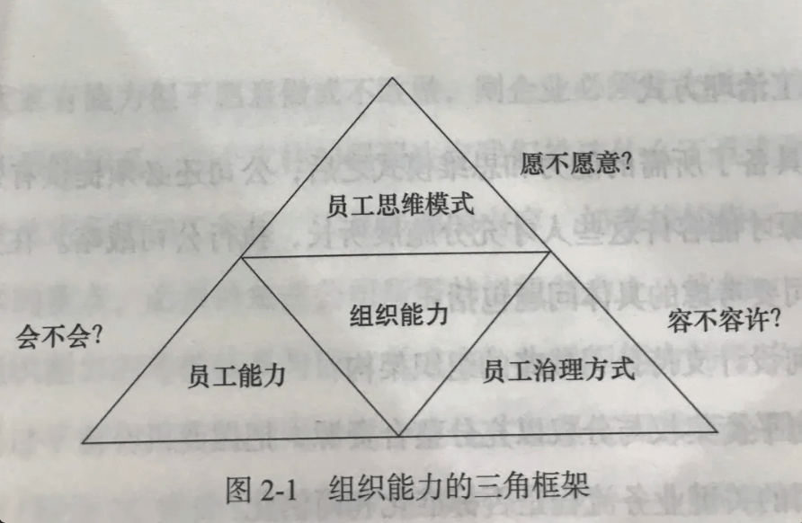 组织能力的杨三角理论